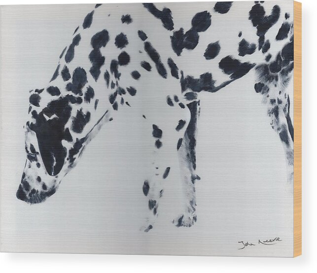 Dalmation Wood Print featuring the painting Dalmation by John Neeve