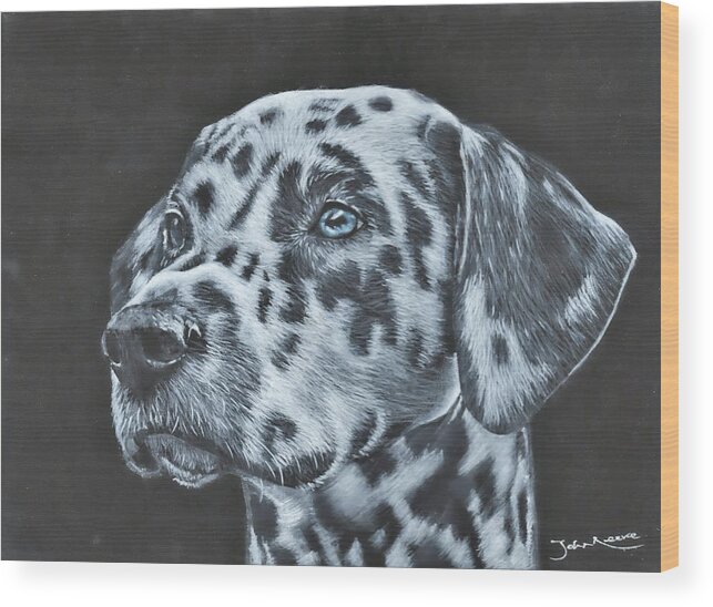 Dalmation Wood Print featuring the painting Dalmation Portrait by John Neeve