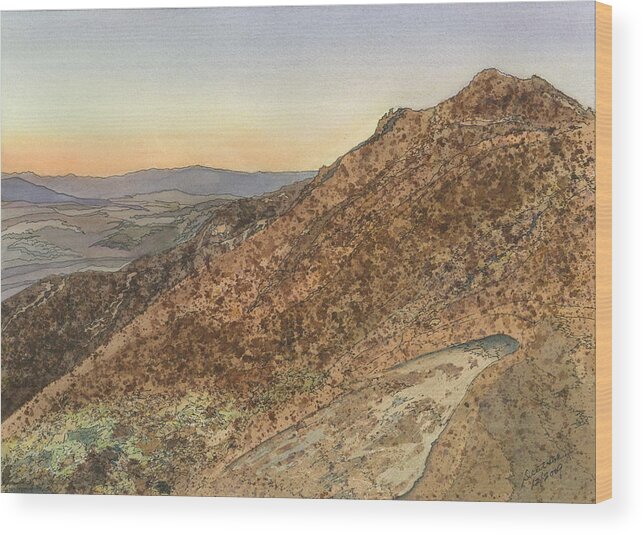Death Valley Wood Print featuring the painting Death Valley from Dante's View a November Sunset by Joel Deutsch