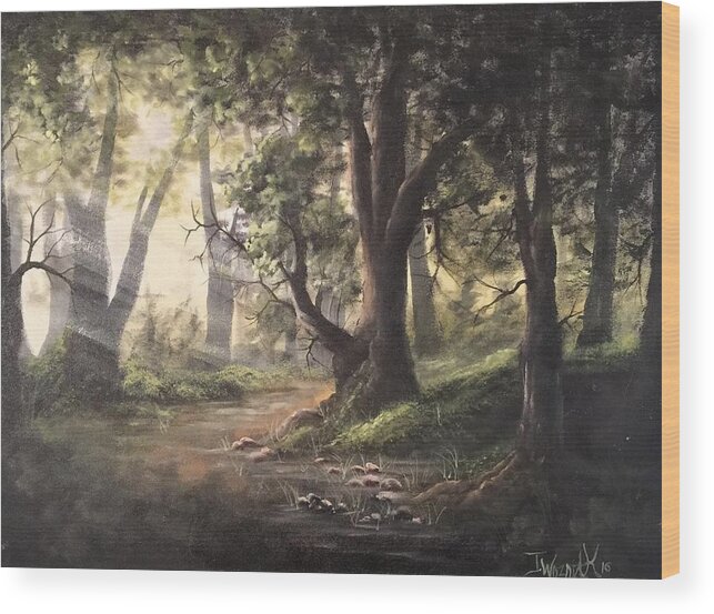 Landscape Forest Sunray Water Stream Trees Grassy Hills Rocky Stream Wood Print featuring the painting Deep forest rays by Justin Wozniak