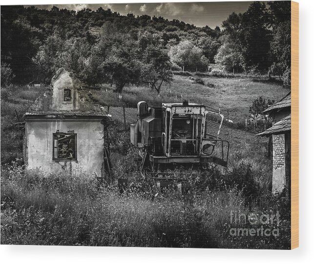 Derelict Wood Print featuring the photograph Derelict Farm, Transylvania by Perry Rodriguez
