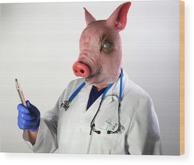 A Man In A Rubber Pig Mask Represents The three Wise Monkeys In His Own Swine Flu Version Of see No Swine Flu Wood Print featuring the photograph Dr. Swine Flu will see you now by Mike Ledray