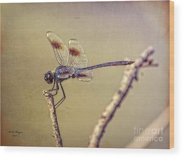 Dragonfly Wood Print featuring the digital art Dragonfly Art by DB Hayes