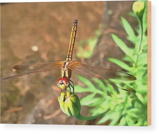 Green Wood Print featuring the painting Dragonfly by Taiche Acrylic Art
