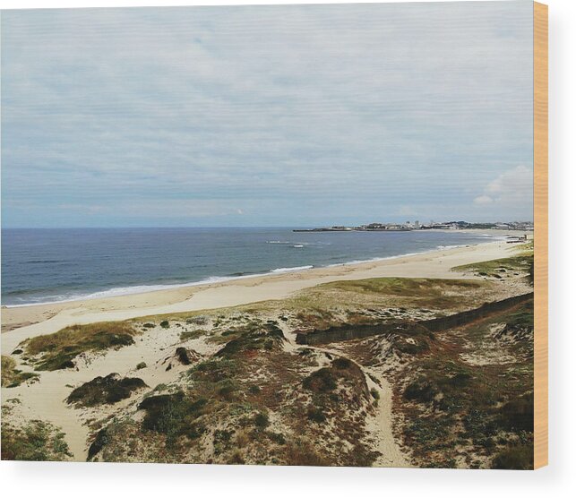 Beach Wood Print featuring the photograph Drone beach photo by Paulo Goncalves