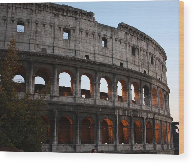 Rome Wood Print featuring the photograph Evening light in Rome by Pat Purdy