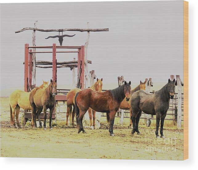 Horses Wood Print featuring the photograph Eyes on Me by Merle Grenz