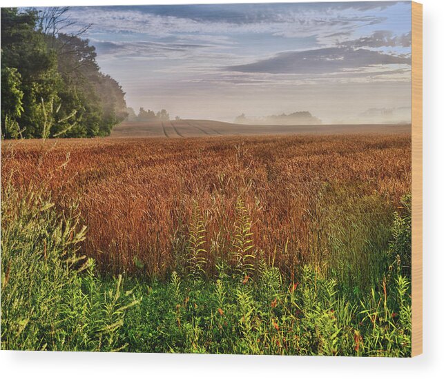 Canada Wood Print featuring the photograph Farmland by Nick Mares