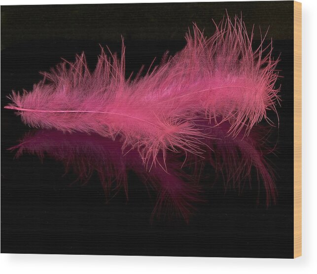 Abstract Wood Print featuring the photograph Feathers by Svetlana Sewell