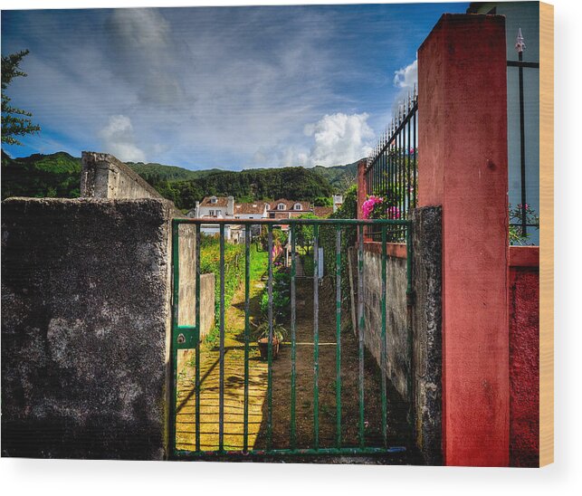 Azores Wood Print featuring the photograph Fine Art Colour-166 by Joseph Amaral