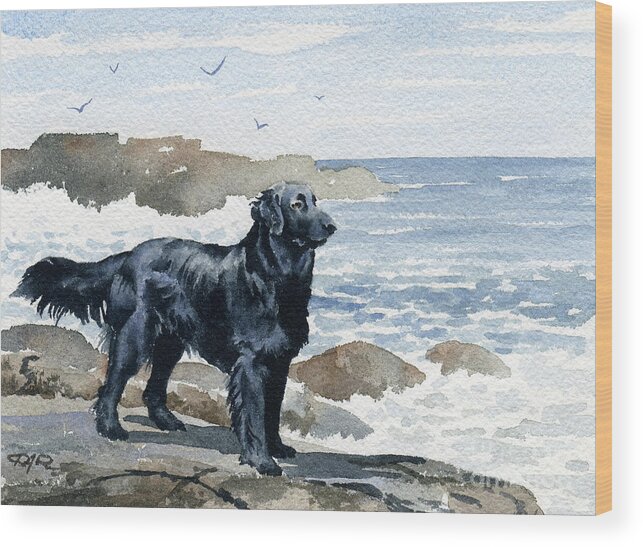 Flat Coated Wood Print featuring the painting Flat Coated Retriever at the Beach by David Rogers