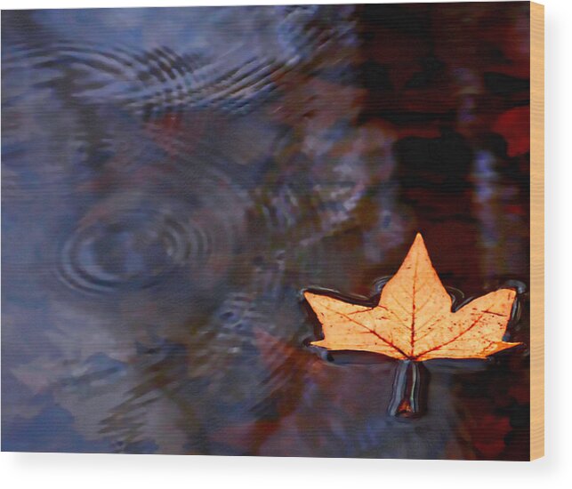 Leaf Wood Print featuring the photograph Floating Leaf by Cherie Duran