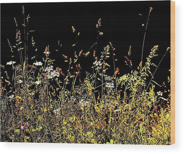 Flowers Wood Print featuring the photograph Flora Play II by HweeYen Ong