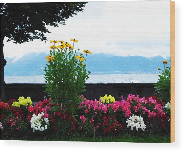 Flowers Wood Print featuring the photograph Floral by Jeff Barrett