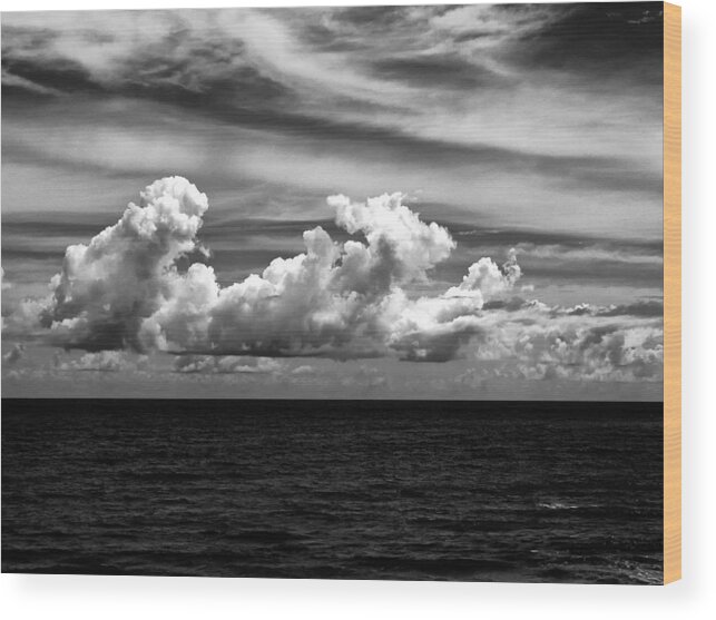 Flordia Wood Print featuring the photograph Florida Seascape by Louis Dallara