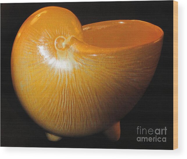 Frankoma Wood Print featuring the photograph Frankoma Pottery Chambered Nautilus Vase by Janette Boyd