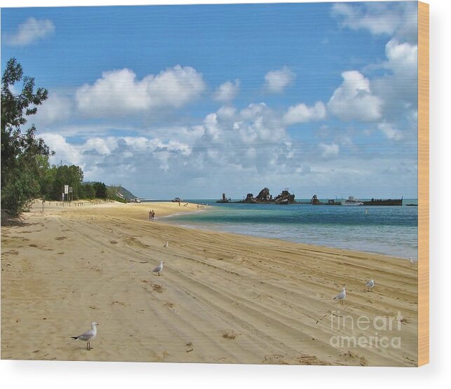 Fraser Island Wood Print featuring the photograph Fraser Island Austraila by Michele Penner