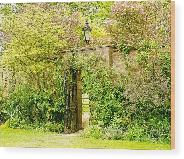 Garden Wall Wood Print featuring the photograph Garden Wall With Iron Gate And Lantern. by Elena Perelman