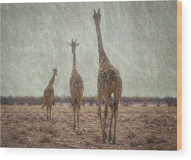 Giraffe Wood Print featuring the digital art Giraffes in Namibia by Ernest Echols