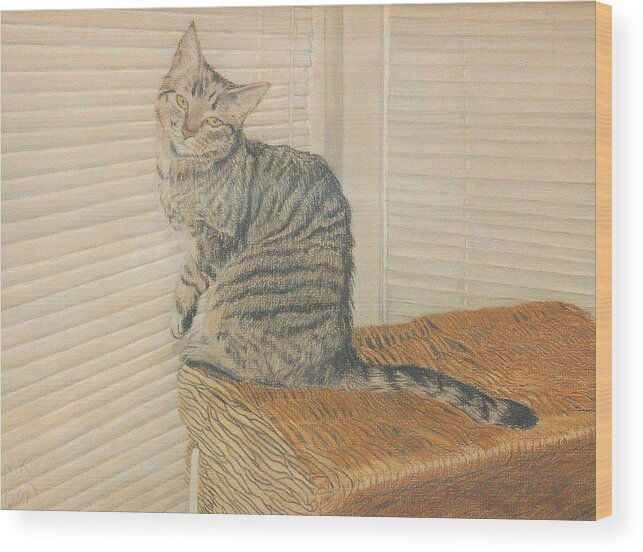 Tabby Cat Wood Print featuring the painting Goldberry by Miriam A Kilmer