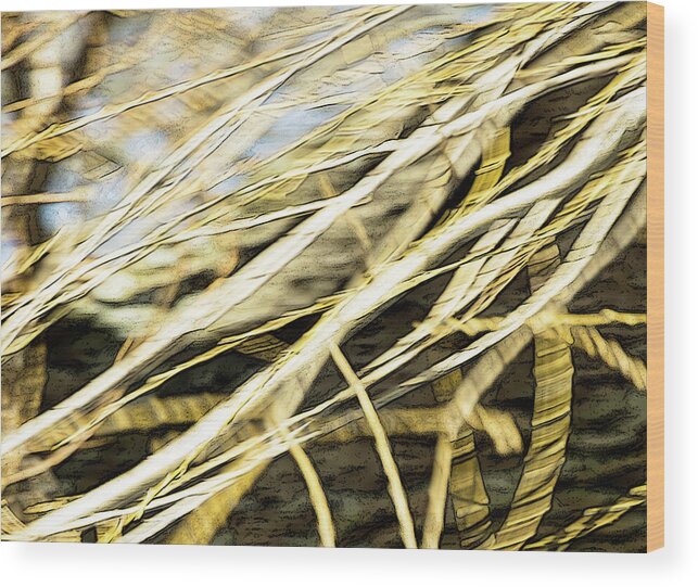 Golden Wind Dance Wood Print featuring the photograph Golden Wind Dance 2 - by Julie Weber