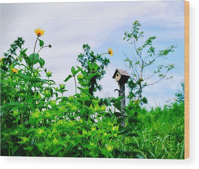 Governors Island Wood Print featuring the photograph Governors Island Birdhouse by Sandy Taylor