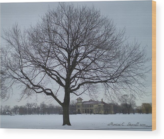 Buy Wood Print featuring the photograph Graceful Tree and Belle Isle Eating Casino in Distance by Monica C Stovall