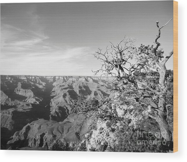 Grand Canyon Wood Print featuring the photograph Grand Canyon in Monochrome by Rachel Morrison