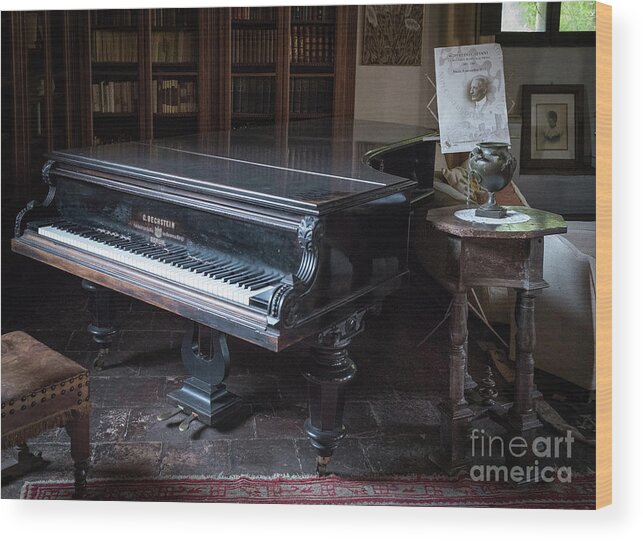 Grand Wood Print featuring the photograph Grand Piano, Ninfa, Rome Italy by Perry Rodriguez
