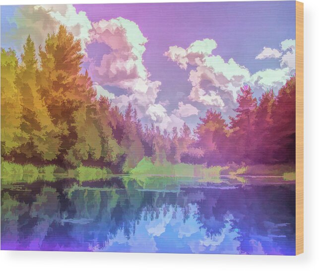 Pond Wood Print featuring the photograph Graphic Rainbow Pond Reflections by Aimee L Maher ALM GALLERY