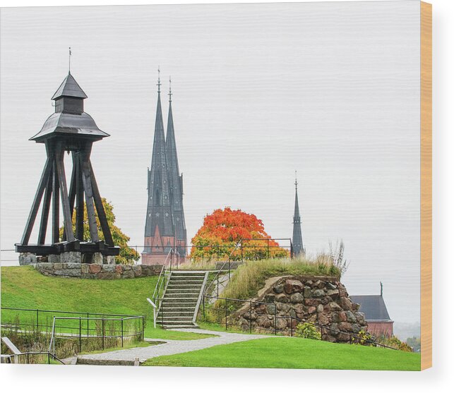 Gunilla_bell Wood Print featuring the photograph Gunilla Bell by Torbjorn Swenelius