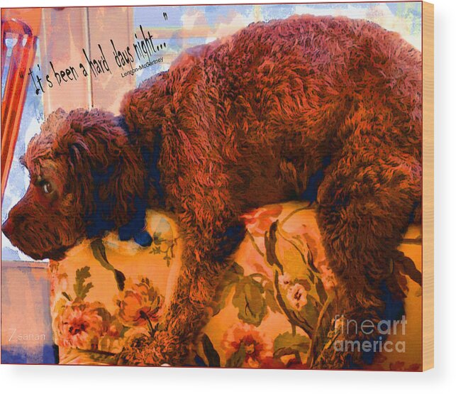 Dog Wood Print featuring the mixed media Dog of the Hard Days Night by Zsanan Studio