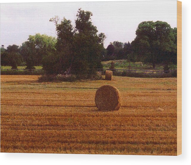 Landscape Wood Print featuring the photograph Hay Rolls 2 DB 2 by Lyle Crump