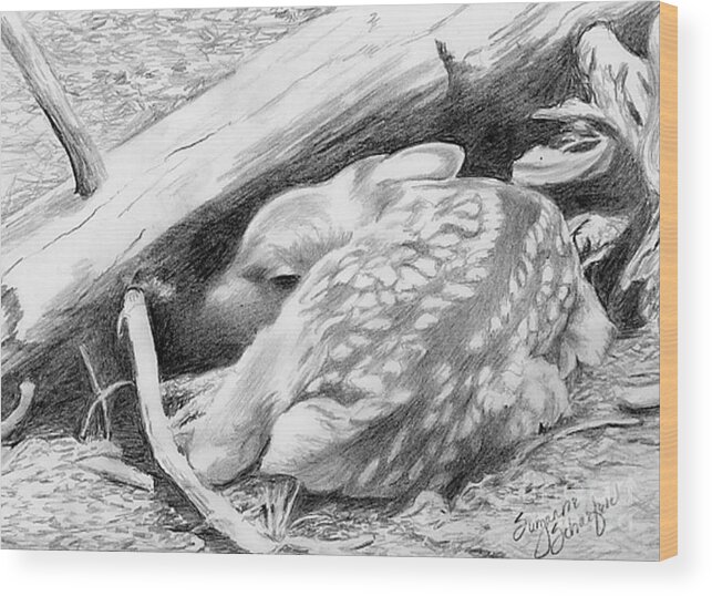 Fawn Wood Print featuring the drawing Hiding in Plain Sight - White Tail Deer Fawn by Suzanne Schaefer