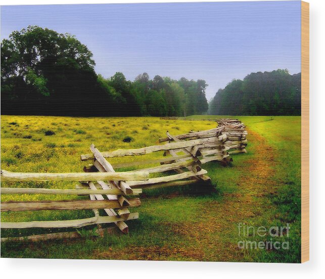 Historic Wood Print featuring the photograph Historic Path Natchez Trace Parkway by T Lowry Wilson