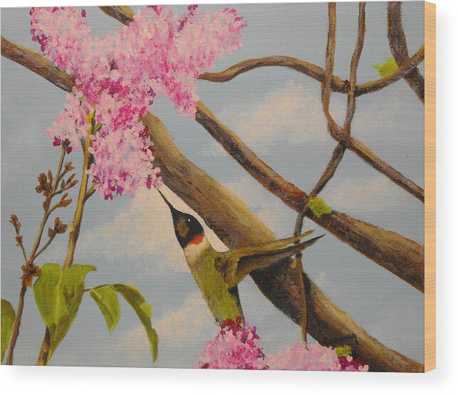 Nature Wood Print featuring the painting Hummingbird Feeding on Lilac by Susan Bruner