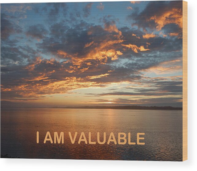 Galleryofhope Wood Print featuring the photograph I Am Valuable Two by Gallery Of Hope