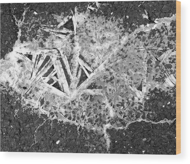  Wood Print featuring the photograph Ice Crystals on the driveway by Polly Castor