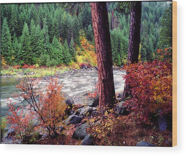 Northwest Wood Print featuring the pyrography Icicle Creek by Bob Groshart