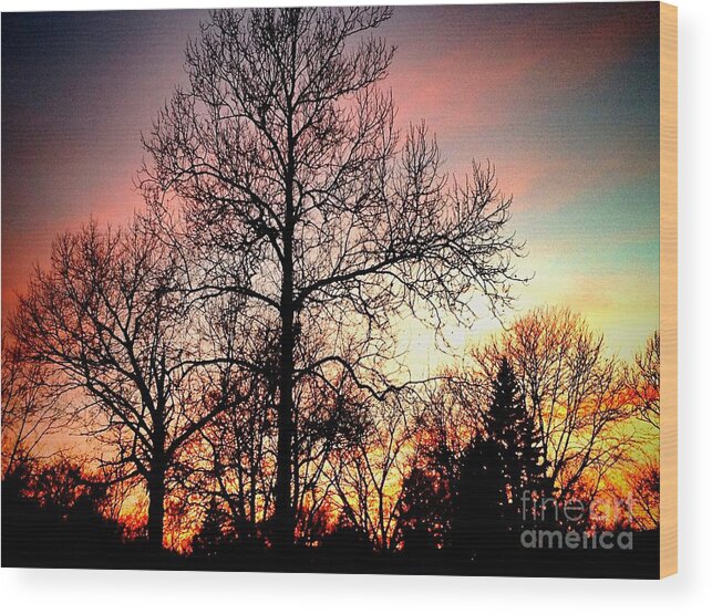 Midwest Wood Print featuring the photograph Its Only One Day by Frank J Casella