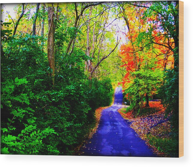 Kentucky Wood Print featuring the photograph Kentucky Lane by Susie Weaver