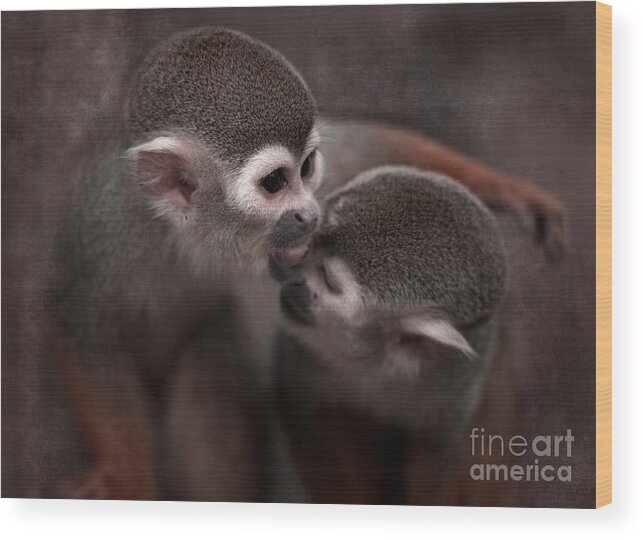 Monkeys Wood Print featuring the photograph Kiss Me by Ang El