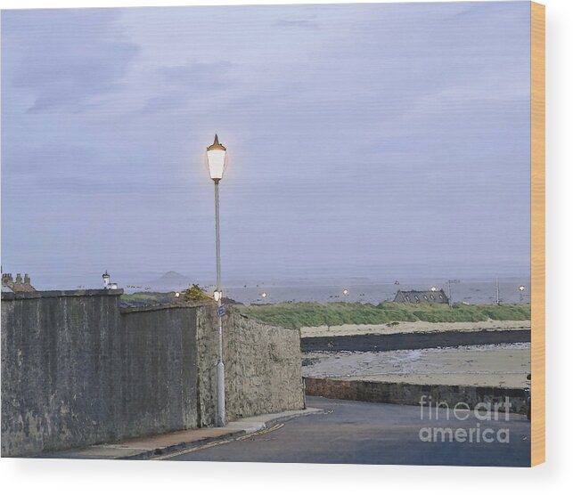 Lamppost In The Dusk Wood Print featuring the photograph Lamppost. Night is coming. by Elena Perelman