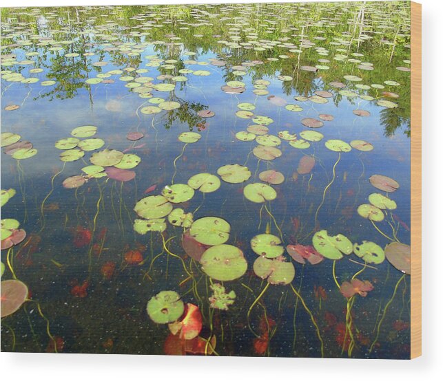 New Hampshire Wood Print featuring the photograph Lily Pads and Reflections by Susan Lafleur