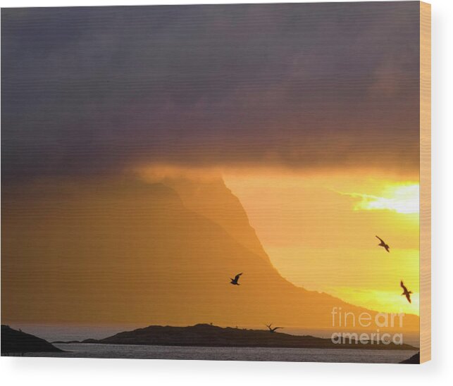 Weather Wood Print featuring the photograph Lofoten island after the storm by Heiko Koehrer-Wagner