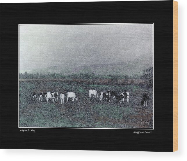 Cows Wood Print featuring the photograph Longview Cows Fine Art Poster and Greeting Card by Wayne King
