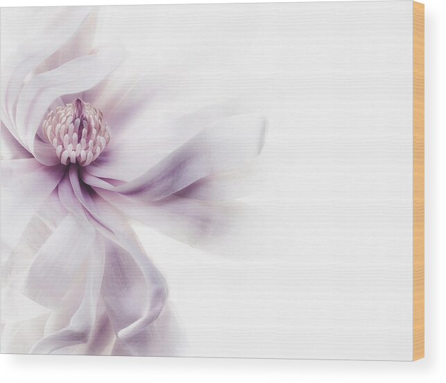 Magnolia Wood Print featuring the photograph Magnolia Breeze by Rebecca Cozart