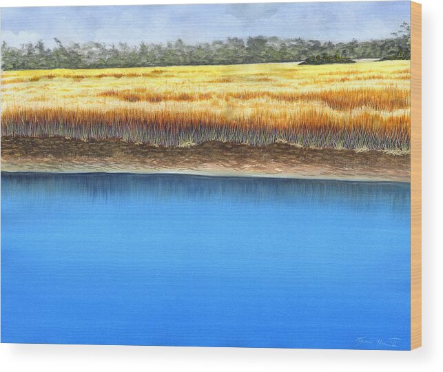 Water Wood Print featuring the painting Marsh Scene I by Thomas Hamm