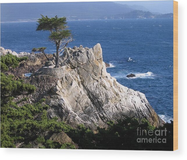 Lone Cypress Wood Print featuring the photograph Midway Point by James B Toy
