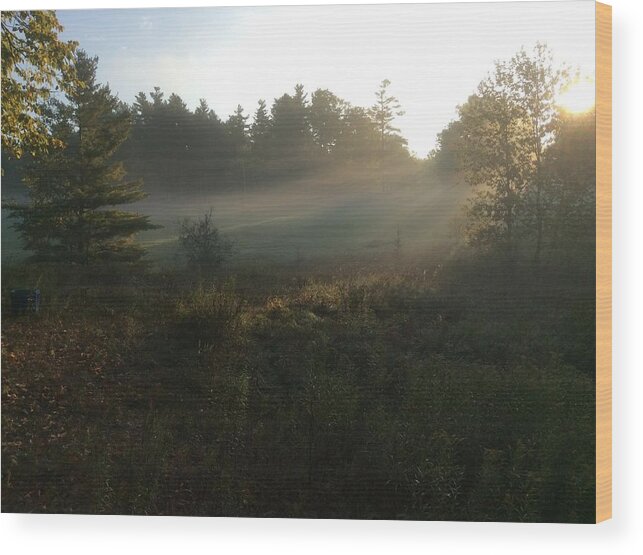 Mist Wood Print featuring the photograph Mist in the Meadow by Pat Purdy